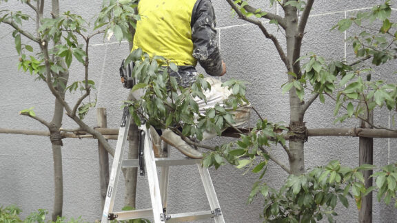 スライドショー - 3